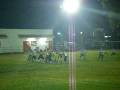 videos de anotacion zorras