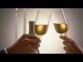 Wine Taster