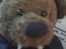 Learn to Read Hebrew with Vampire Bear Lesson 005