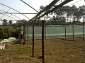 CONSTRUÇÃO DE ESTUFAS