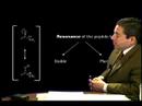 organic chemistry   amide bond   audi example 2
