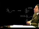 organic chemistry   amide bond   audi example 2