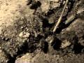 videos de EPIGRAM