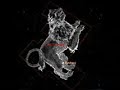 United linguistic and symbolic system of astrology?