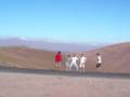 videos de Salta pocho pipa curles