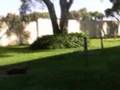 Mision Santa Ines