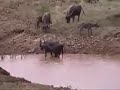 Jamkhed CRHP Watershed Development Jamkhed CRHP Watershed Development