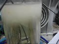 RESONANCE OF THE CELL