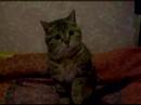 My baboushka =3