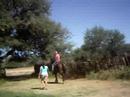 Clases de montar caballo Clases de montar caballo