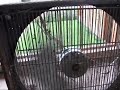 lasko 20\" box fan lasko 20\" box fan