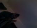cibernetica remix
