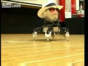 danse d un robot danse d un robot