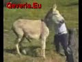 gomari ka rene ne dashuri me osmanin