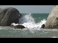 aquarium screensaver HD TV art4hd 1080 video
