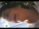 Corrida santi (lean la descripcion y pongan mas)