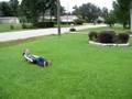 Sarah Kathryn's back handspring