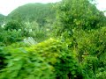 Jamacia Cruise Video 1