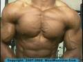 October 2008 MostMuscular.Com ULTRA videos