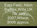 Recent Cropcircles - Croppery 2007 Recent Cropcircles - Croppery 2007