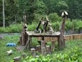 Baby Pandas Doing Their Thing