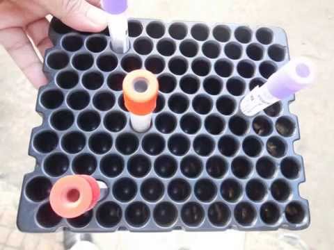 how to use a test tube