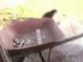 Youtube Poop: Guy Yelling at Cats