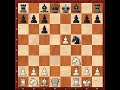 Ruy Lopez - Chess Openings