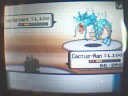 [DP] Wi-Fi Battle: vs Torchic6