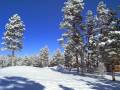 videos de Winter Wonderland in Torreon