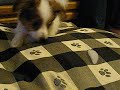 Oliver