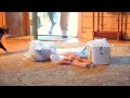Doritos Crash the Super bowl 2012: Guilty! Denver