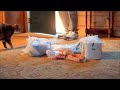 Doritos Crash the Super bowl 2012: Guilty! Denver