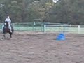 MVI_8255.AVI