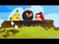 Angry Birds Friends iPhone iPad Trailer