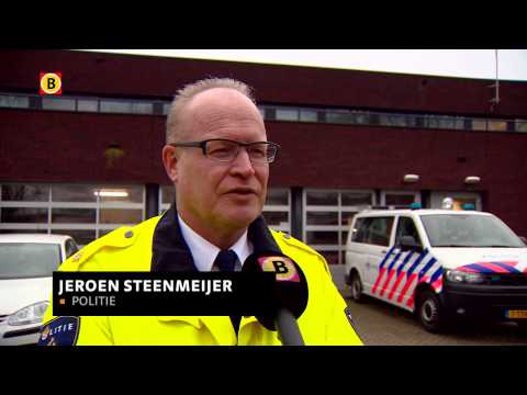 Hondje Stitch werd gedood met illegaal vuurwerk