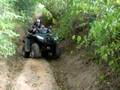 quad