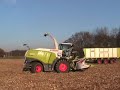 Claas jaguar 960 demo Claas Kamps de Wild Trekkerweb.nl