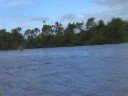 Beautiful Essequibo River