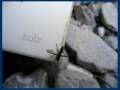 Rostrum camera test