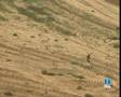 Reportaje Águila Real 'Belagua' TVE Aragón