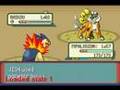 Shiny Raikou!