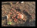 Ultimate Parkour Lisses 2009 Urban PKNinjas Squad 4LYF Freerunning Walljumping Showreel