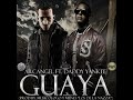 Guaya