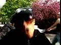 De Sinan featuring Herby Gee: SCHMESCHDISCHBIMSE
