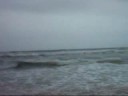 the waves the waves