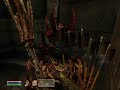 Oblivion- Owning the Imperial Palace