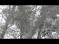 YouTube - White Blank Page