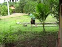 SURVIVOR MAN