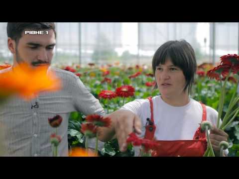 Школа майстрів. Вирощування квітів за європейськими стандартами
